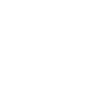 Heptagon Torus Company Ltd (HTCL)
